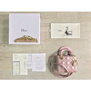 디올 레이디백 미니