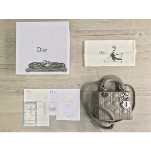 디올 레이디백 미니