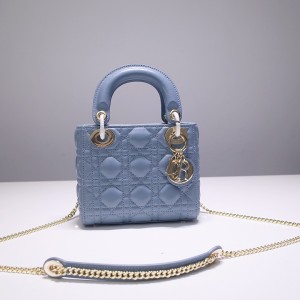 디올 레이디백 미니