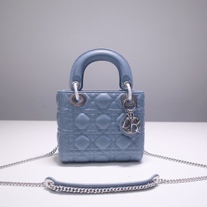 디올 레이디백 미니