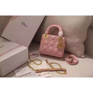 디올 레이디백 미니