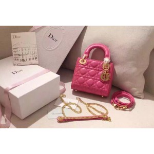 디올 레이디백 미니